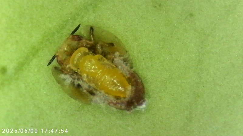 REVISTA F&H tweet media