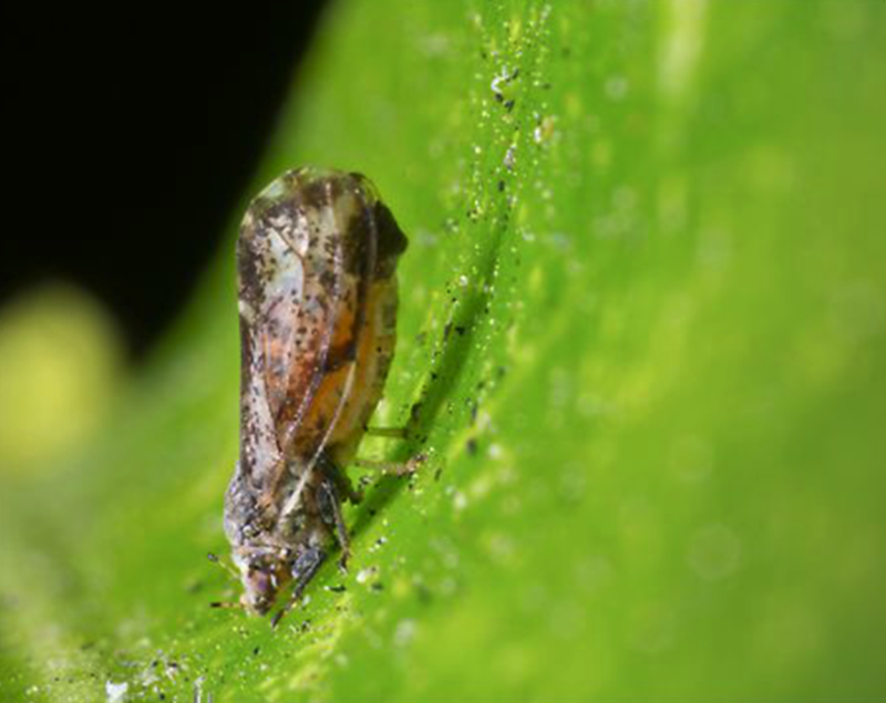 REVISTA F&H tweet media