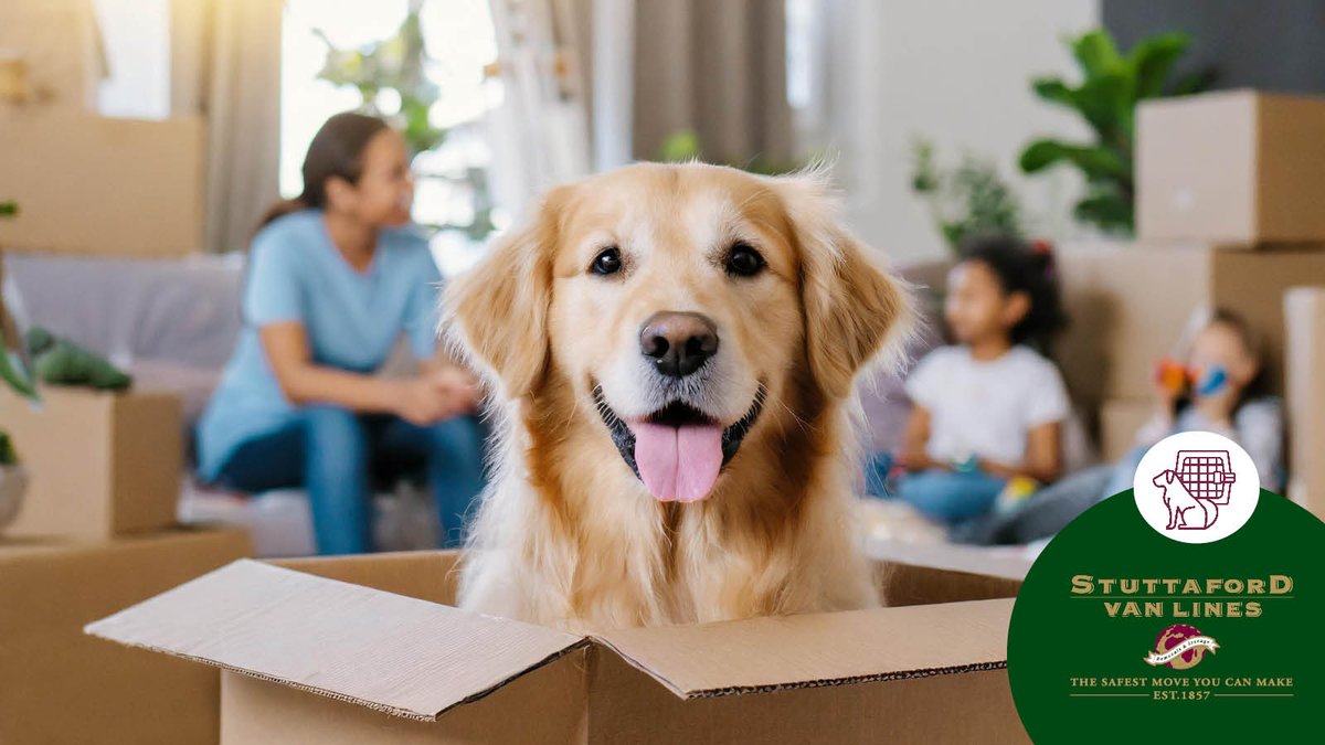StuttafordVanLn's tweet image. Imagine your world packed in boxes... and you don't know why. 🐶📦
For pets, a move is a disruption. We help keep the tails high.
We handle the heavy lifting. You handle the belly rubs.
Make the safest move for the whole family.
bit.ly/3IGDF9J
#MovingWithPets #SVL