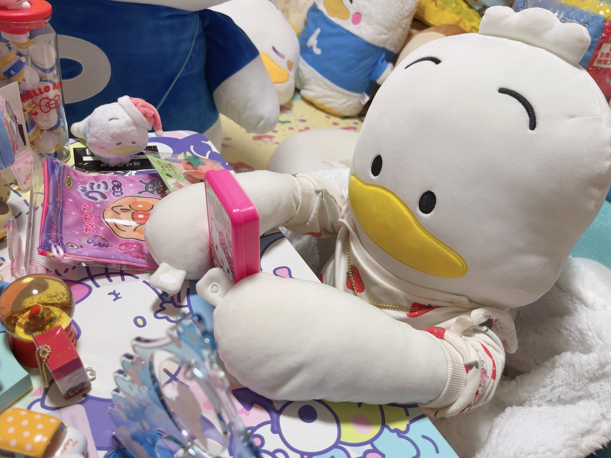 ひめち tweet media