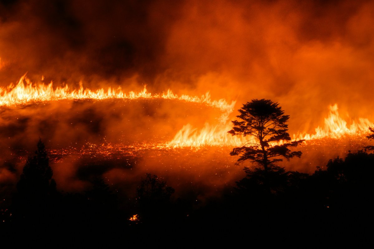 UNDP Planet tweet media