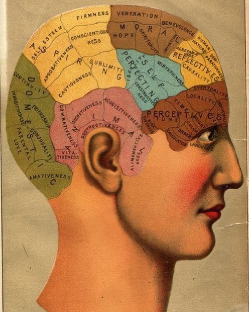 PastMedHistory's tweet image. Phrenology chart from the late 1800s #phrenology #histmed #hostoryofmedicine #pastmedicalhistory