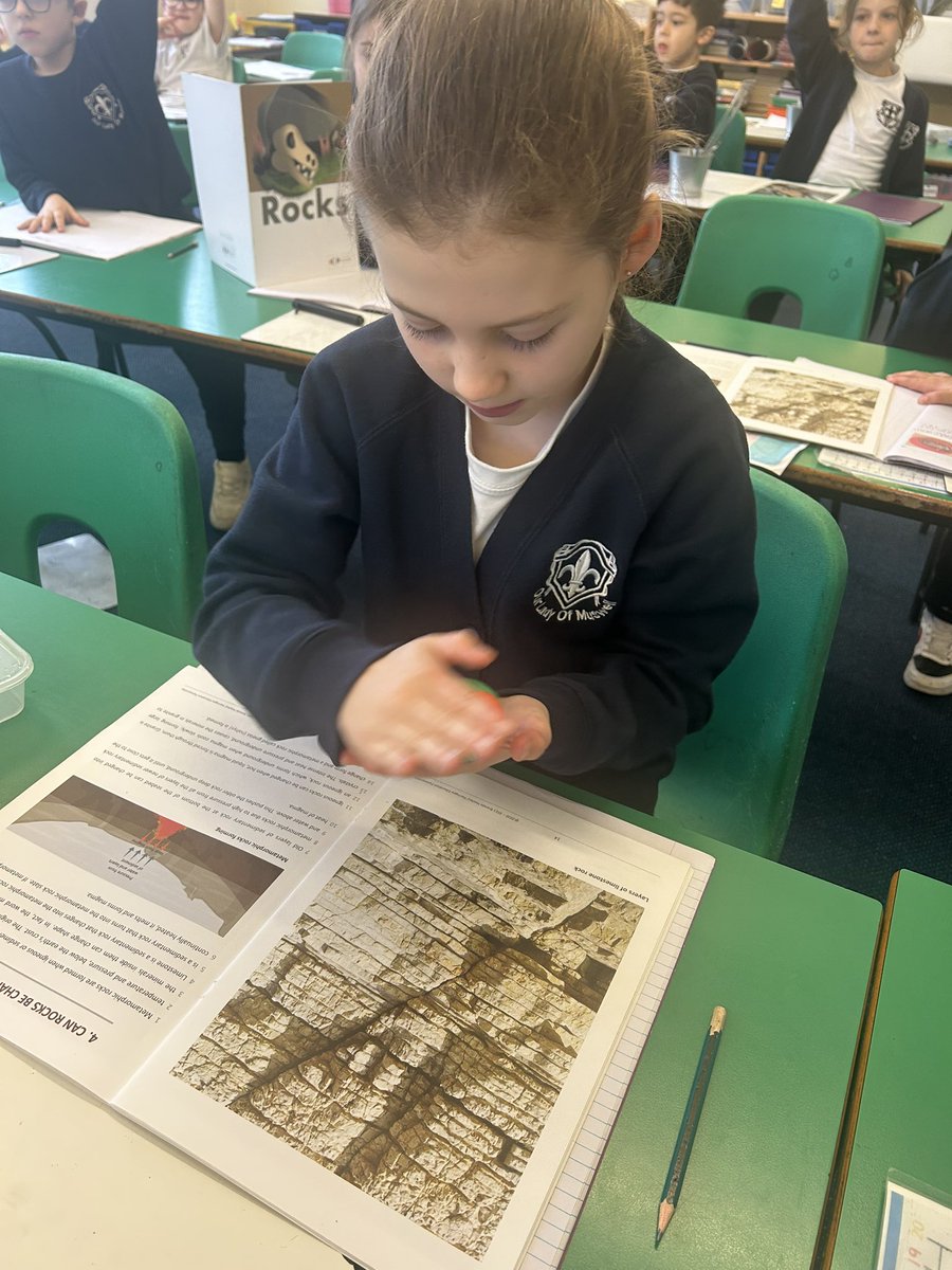 Our Lady of Muswell Primary School tweet media