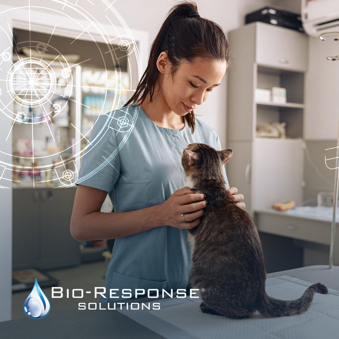 Bio-Response Solutions tweet media