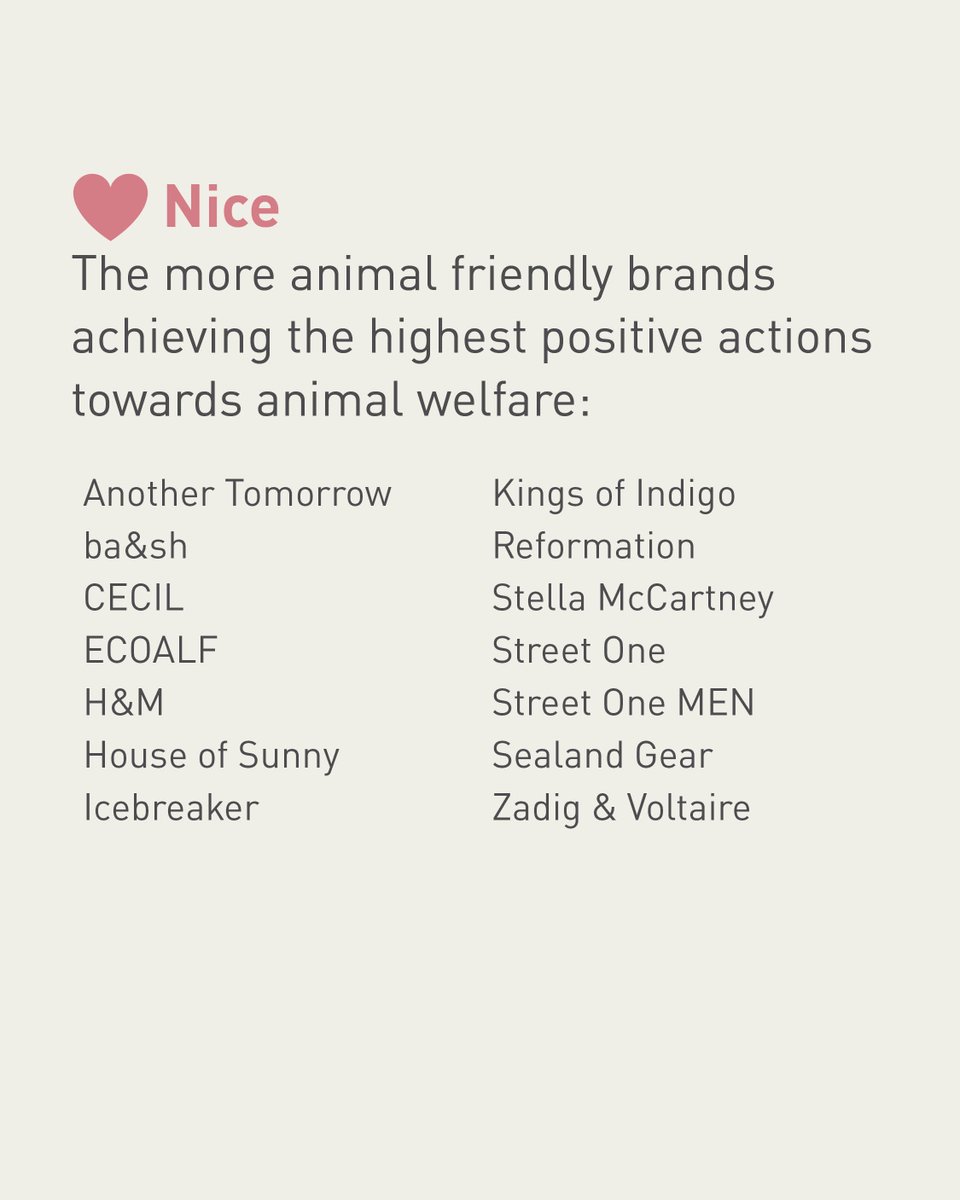 FOUR PAWS International tweet media