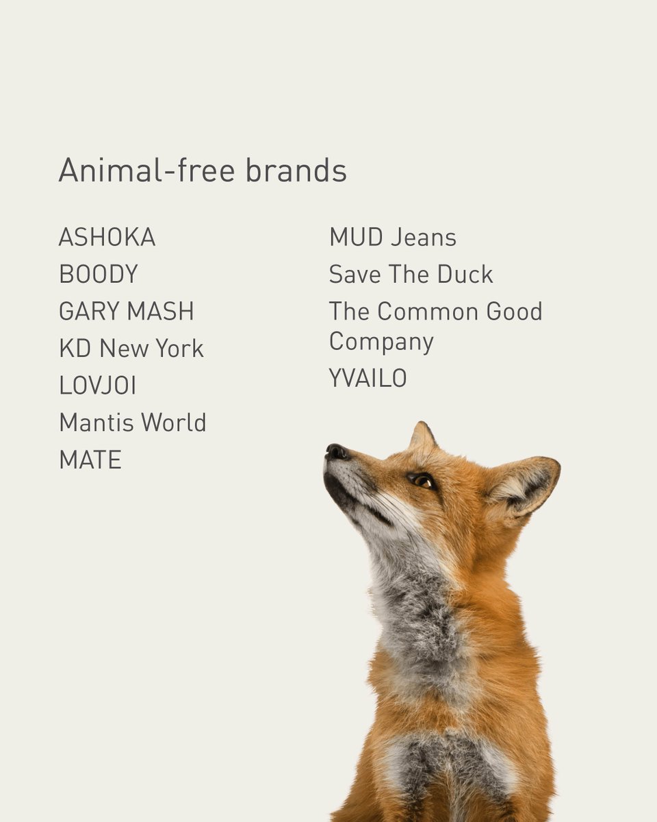 FOUR PAWS International tweet media