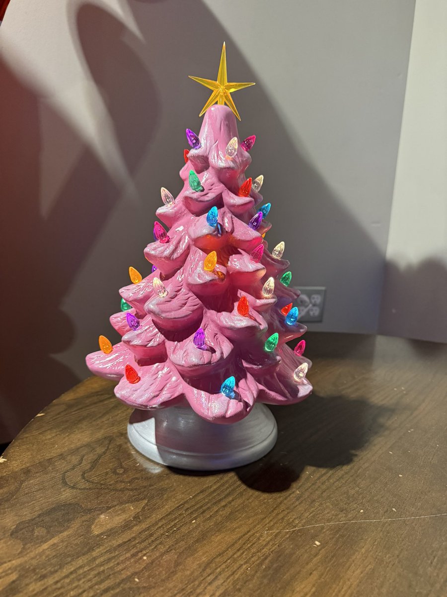 Cassiday Proctor tweet media