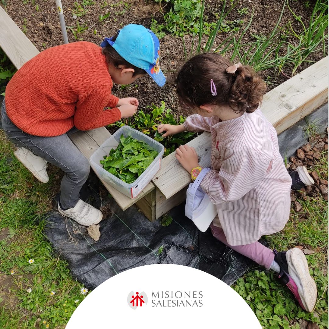 MSalesianas's tweet image. #NoticiaMS | Más de 2.000 personas han participado durante dos años en el proyecto ‘Aulas en acción Bilbao’, fortaleciendo derechos de la infancia, inclusión y bienestar emocional a través de actividades educativas, miniproyectos y alianzas. 🌍✨
Más info: f.mtr.cool/xjmmugzfhp