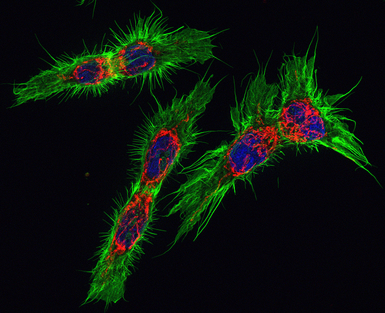 KEYENCE CORPORATION OF AMERICA tweet media