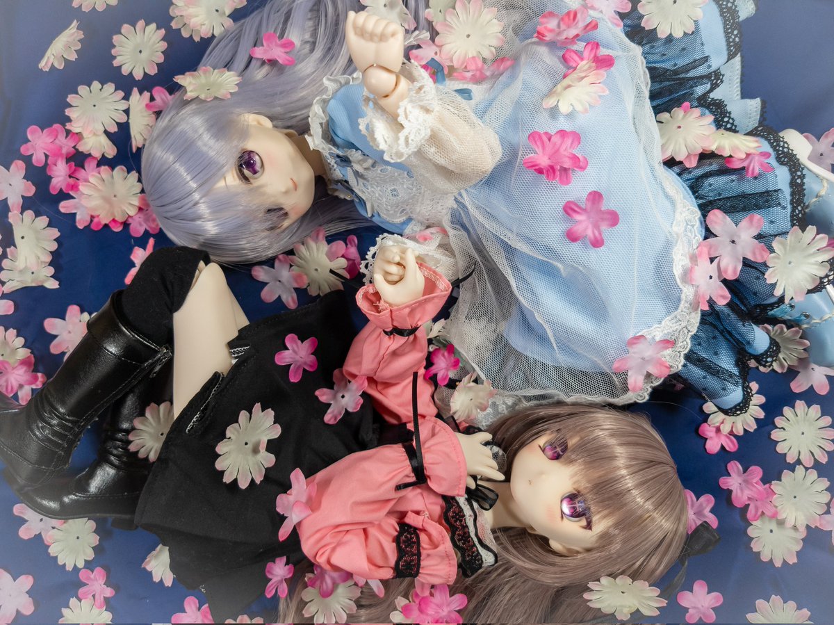 ドリルリ tweet media