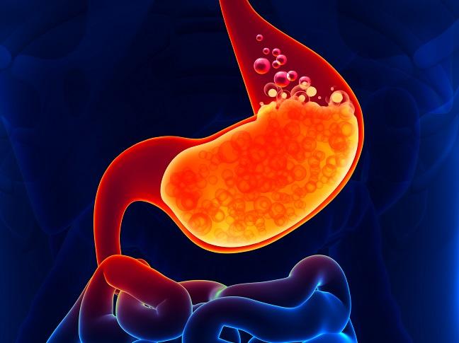 Nick | Gut Health tweet media