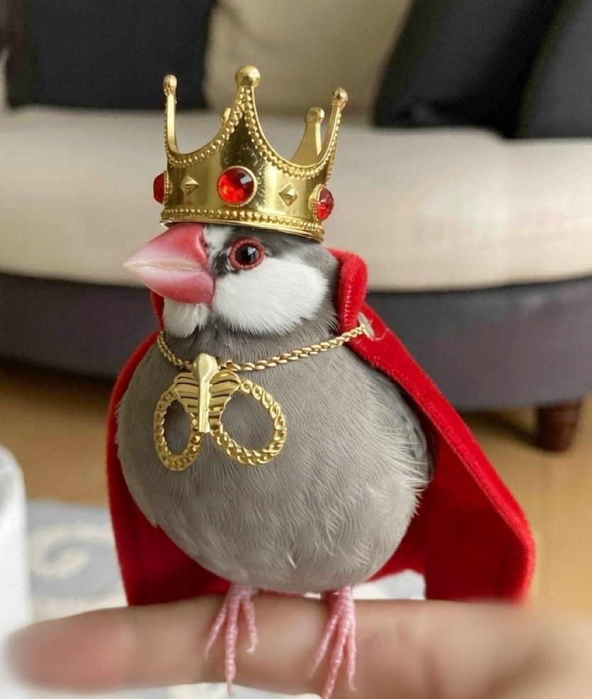 ルージュ様 2025年秋新作口紅】ル ルージュ デュオ ウルトラ トゥニュ｜CHANELの