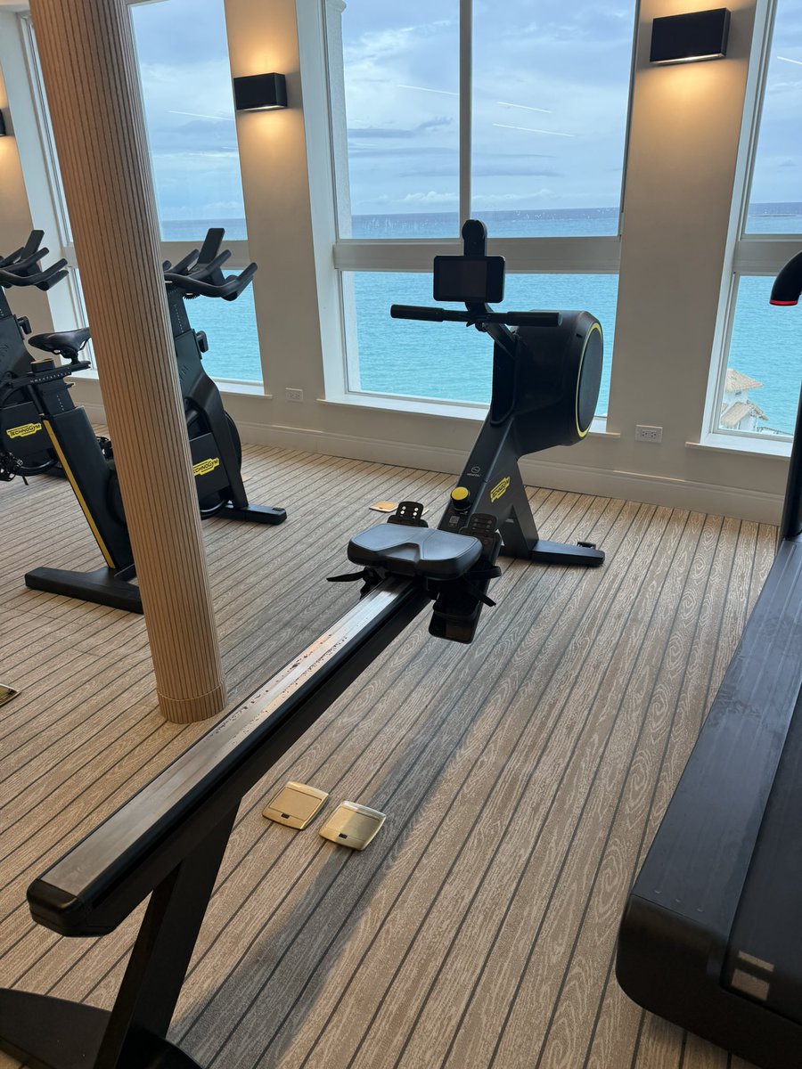 Sean Wolf tweet media