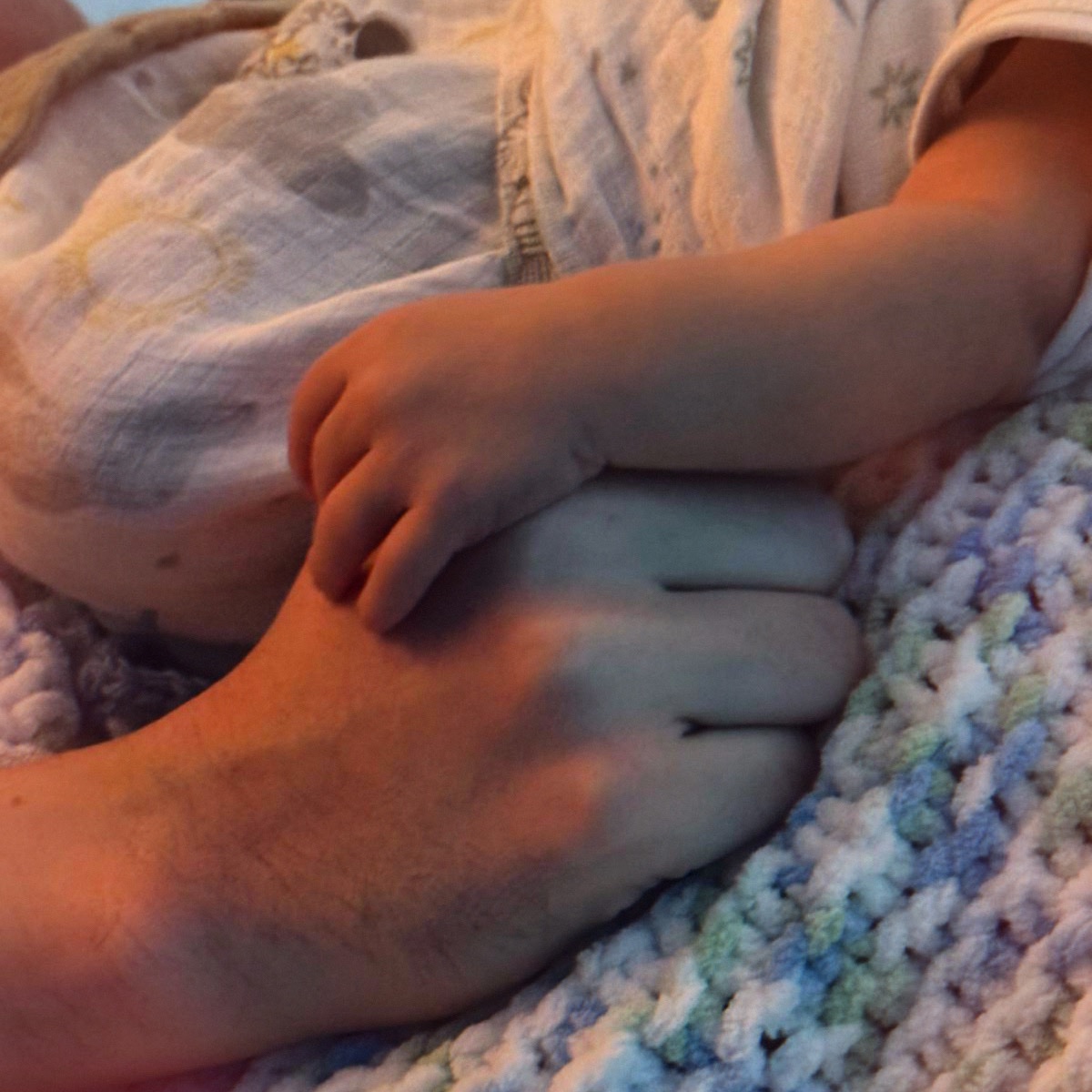 Chris Trott tweet media