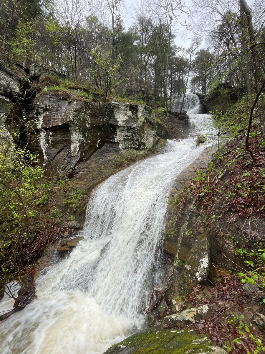 Weedhopper🦗 (@weedhopper96) on Twitter photo 