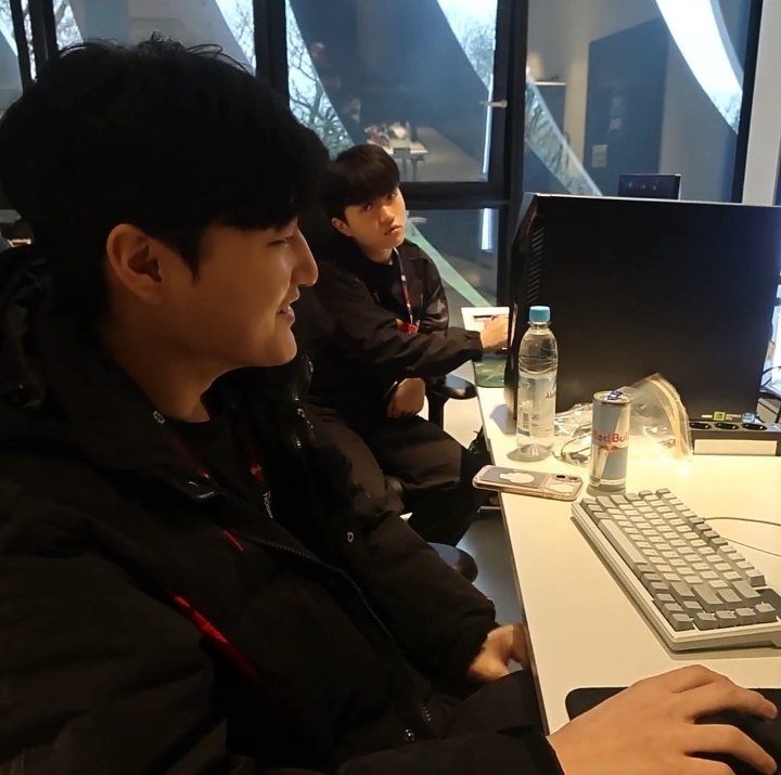 🐨👀🐶                                          🐶👀🐨