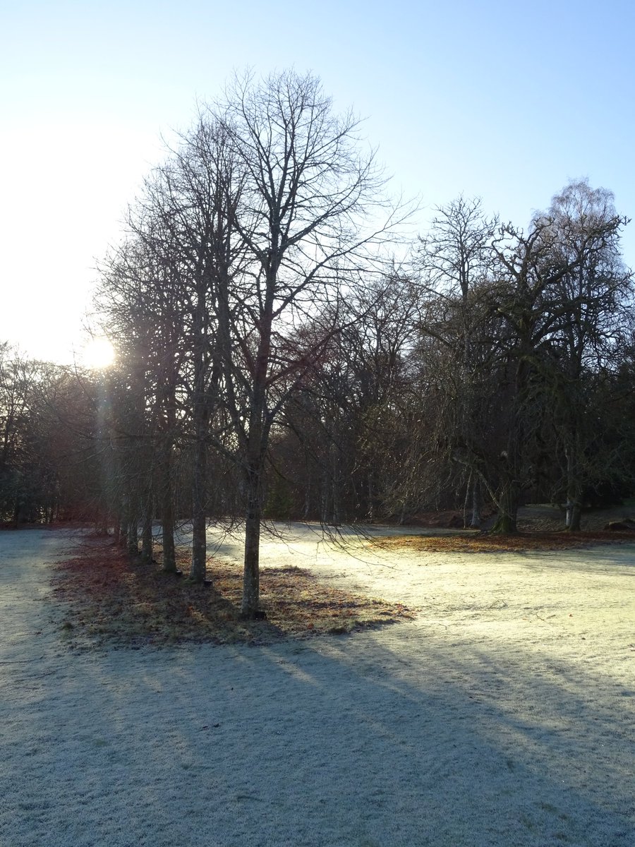 niaga_hijau's tweet image. Midday sunshine on a #frosty day..
December 16, 2025 #photo
#nature #winter #trees #photography
#Scotland #naturephotography 
#art #naturelovers .. ❄️💙🕊