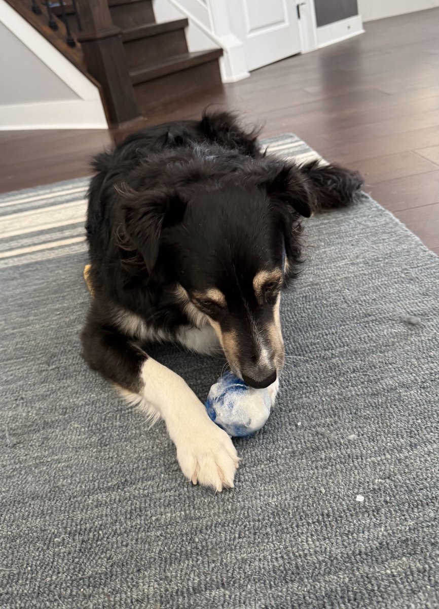 Thought I was past the stage of life where I’d need to tell our kids not to bring snowballs into the house.