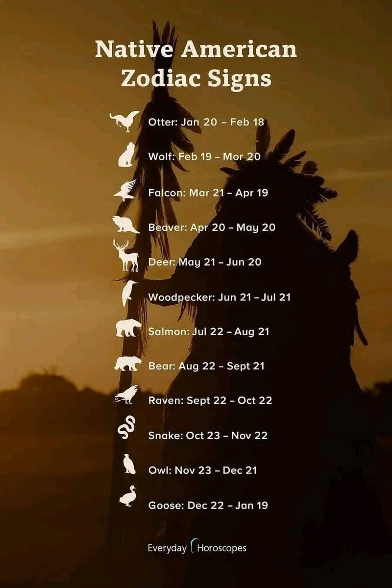 NativeAmerican tweet media