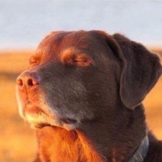 -/George\- tweet media