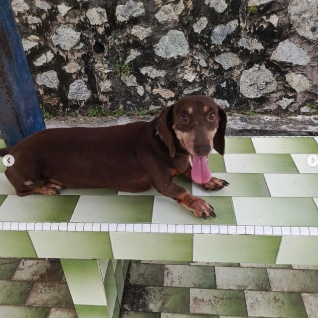 FiskaYenitaFK_'s tweet image. Tempat yang sepatutnya memberi harapan tapi jadi lubang seksaan untuk mereka 😭

Lagi sedih, pelaku seorang Dr &amp;amp; orang kuat DVS. Guys, pls help by submitting an online DVS report. Justice for Pumpkin &amp;amp; her's friend. 💔

awa.dvs.gov.my/support