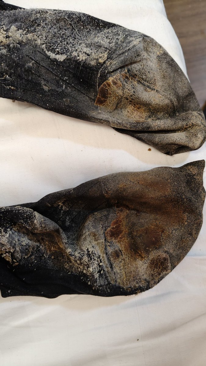 成都雄臭S tweet media