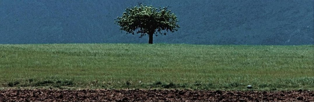 "uyuyacağım dedi, uyuyacaktır. bir insana lekesiz ve katıksız inanabilmek ne saadet. sevinçliyim dedi, sevinçlidir. hava soğuk dedi, soğuktur."