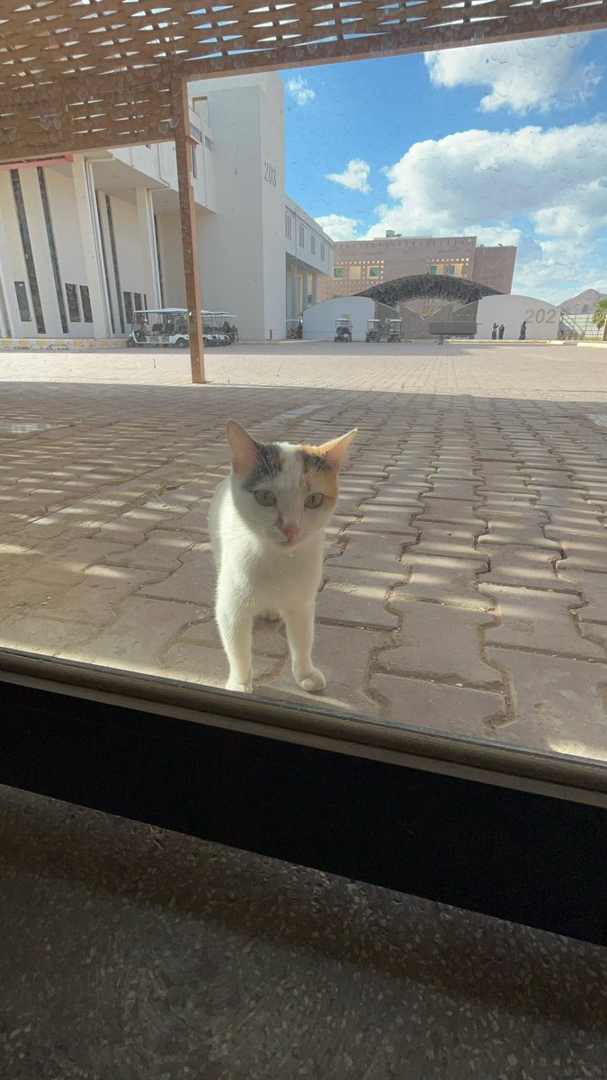 Reham (@_rxiirx77) on Twitter photo 