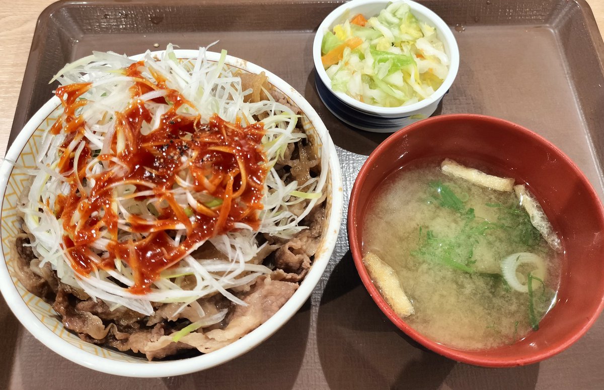 カロリー補給して無事に帰宅しました😊
#すき家