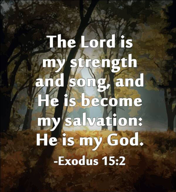 dicklawfirm's tweet image. #SpiritualTok #TransformationTime #HealthyMorning #MorningBoost