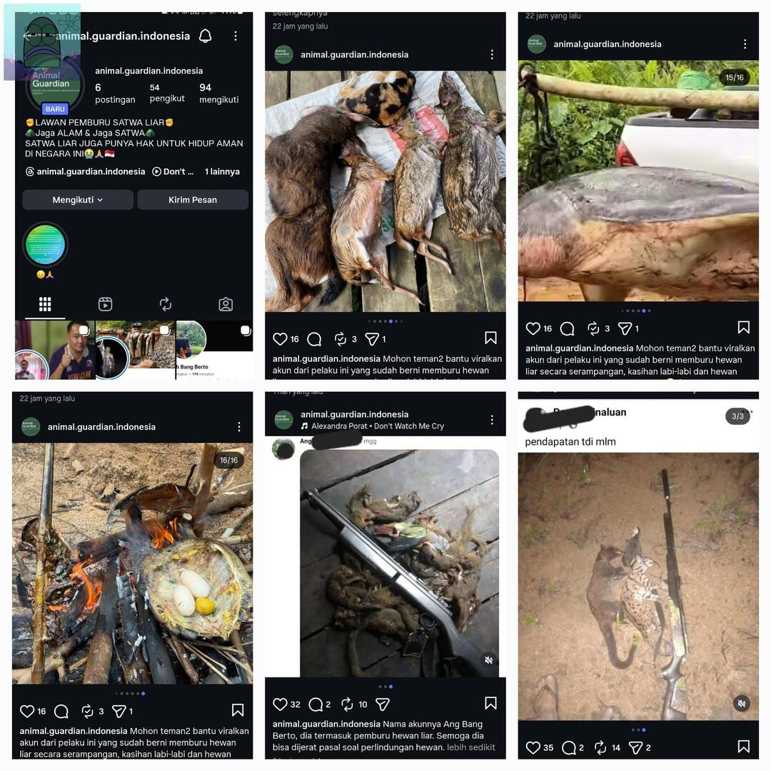 Tanyarl 💚 tweet media