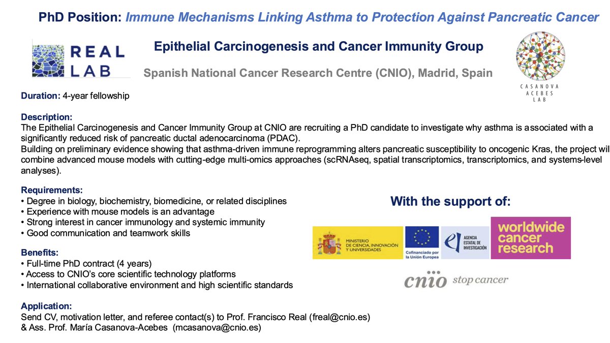 Our lab (together with #pacoreal) is looking for a PhD student to work on asthma immunology and PDAC!
If you have a strong interest in immunology and cancer biology, check out the ad below #PhDPosition #PDAC #Asthma #CancerResearch