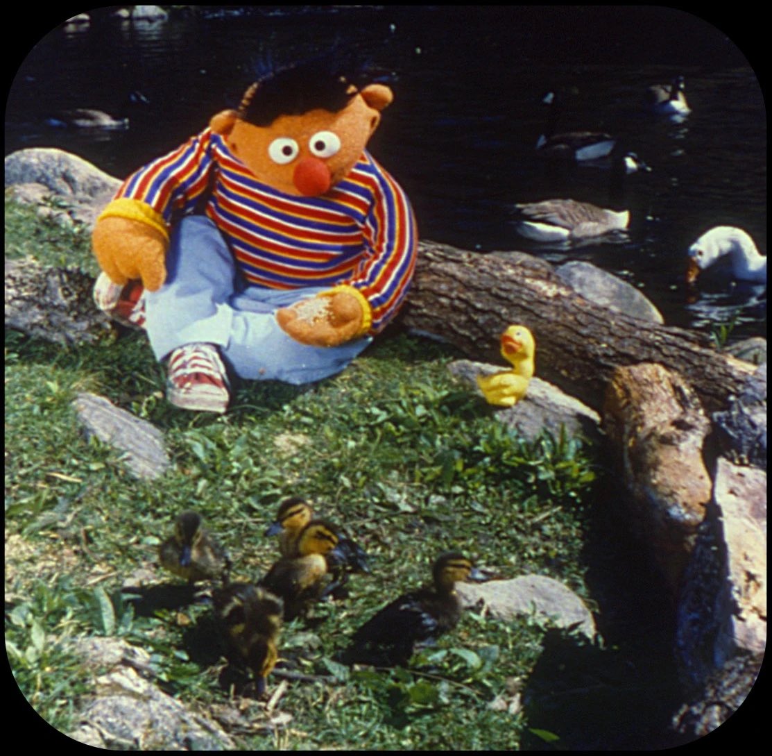 berterniepics's tweet photo. bertnie with baby animals https://t.co/ZJ5nUawchZ