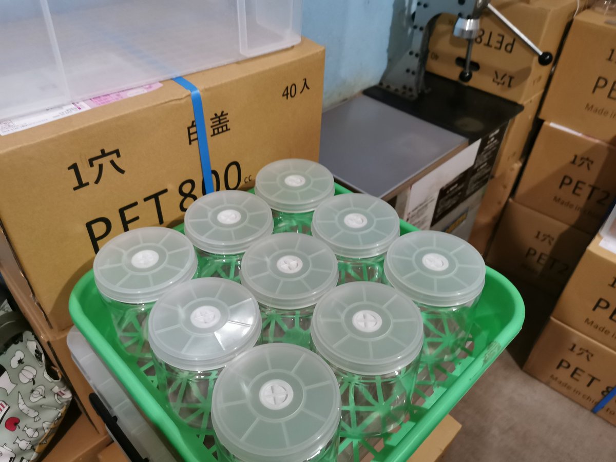 さてさて やりますか💪