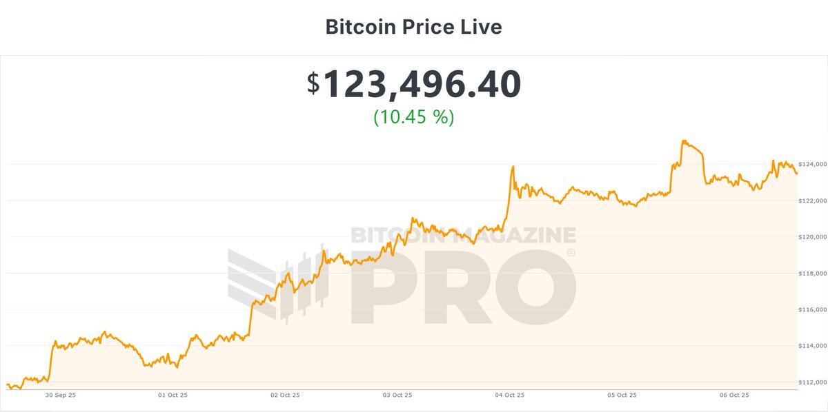 Esse é o melhor gráfico on-chain do Bitcoin.

Ele mostra quando o mercado está exagerando!

Entenda como analisar 👉🏼