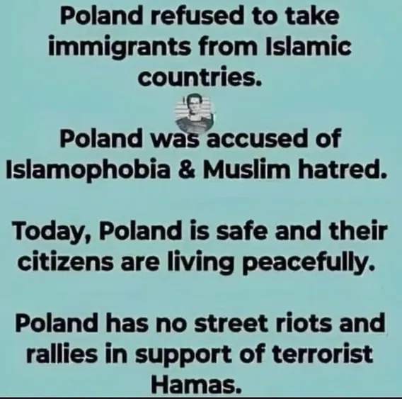 <a href="/elonmusk/">Elon Musk</a> Poland gets it.