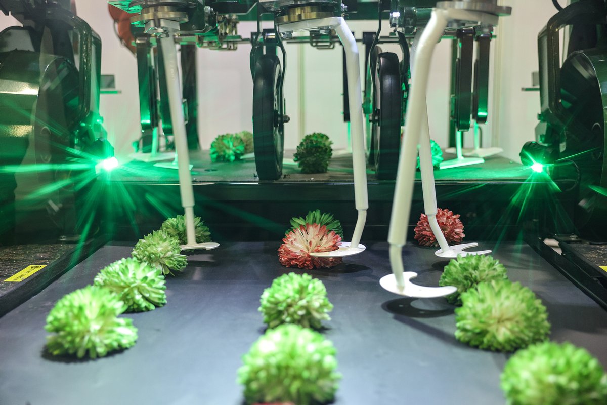 ¡#novedades en #ferias alemanas! 

Del 4 al 6 de febrero de 2026, <a href="/FRUITLOGISTICA/">Messe Berlin</a>  tomará lugar en Berlín. Esta feria abarca todas las áreas de la industria de productos frescos y la cadena de suministro internacional 🌐 

Información: fruitlogistica.com/en

Fotos: <a href="/MesseBerlin/">Messe Berlin</a>