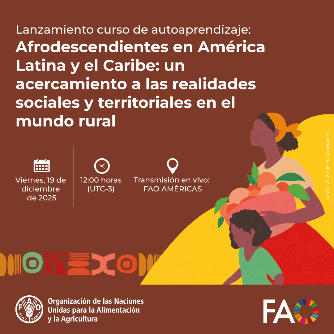 FAOAmericas's tweet image. 🎓 Descubre cómo fortalecer políticas públicas con enfoque étnico-racial en el curso: Afrodescendientes en América Latina y el Caribe
📢Lanzamiento
🗓️ 19 de diciembre
⏰ 12:00 (UTC-3)
bit.ly/4iN5Q4I