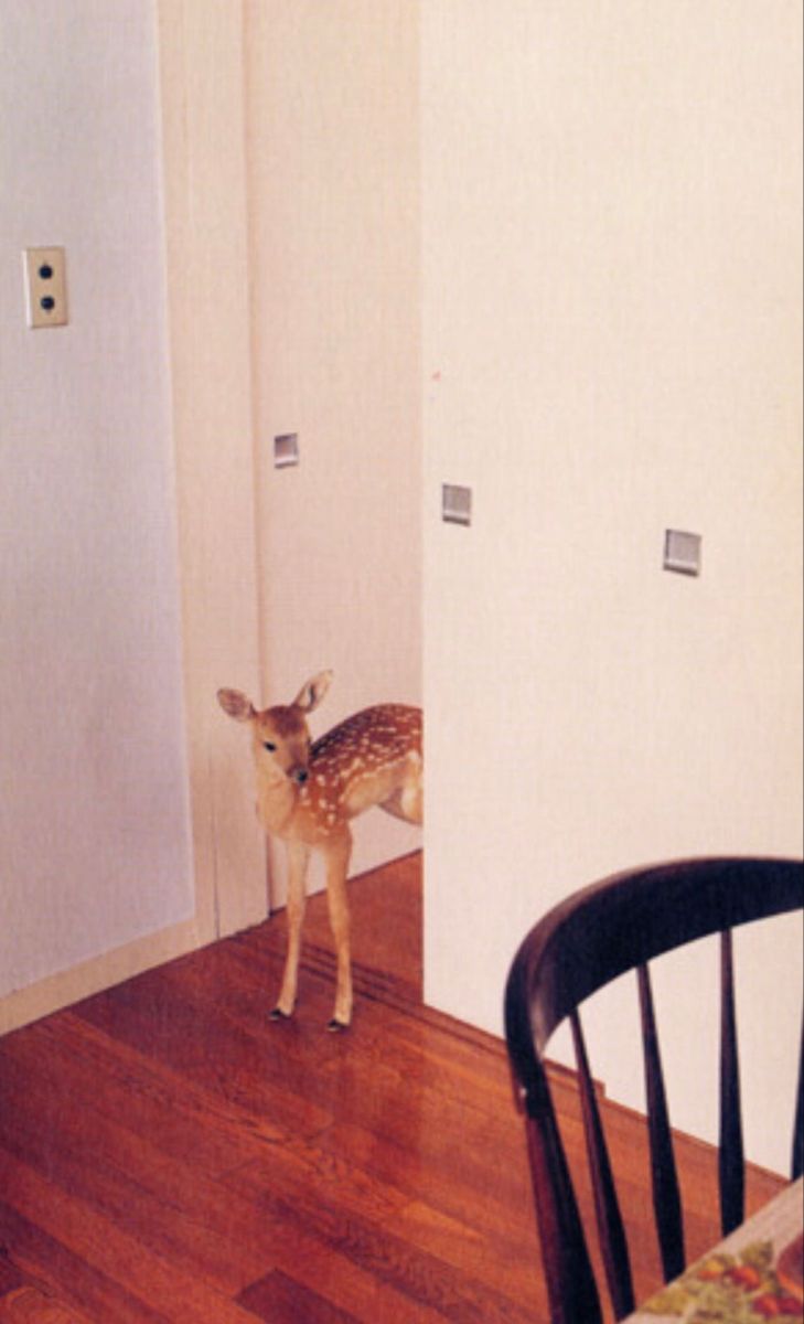 John fawn tweet media