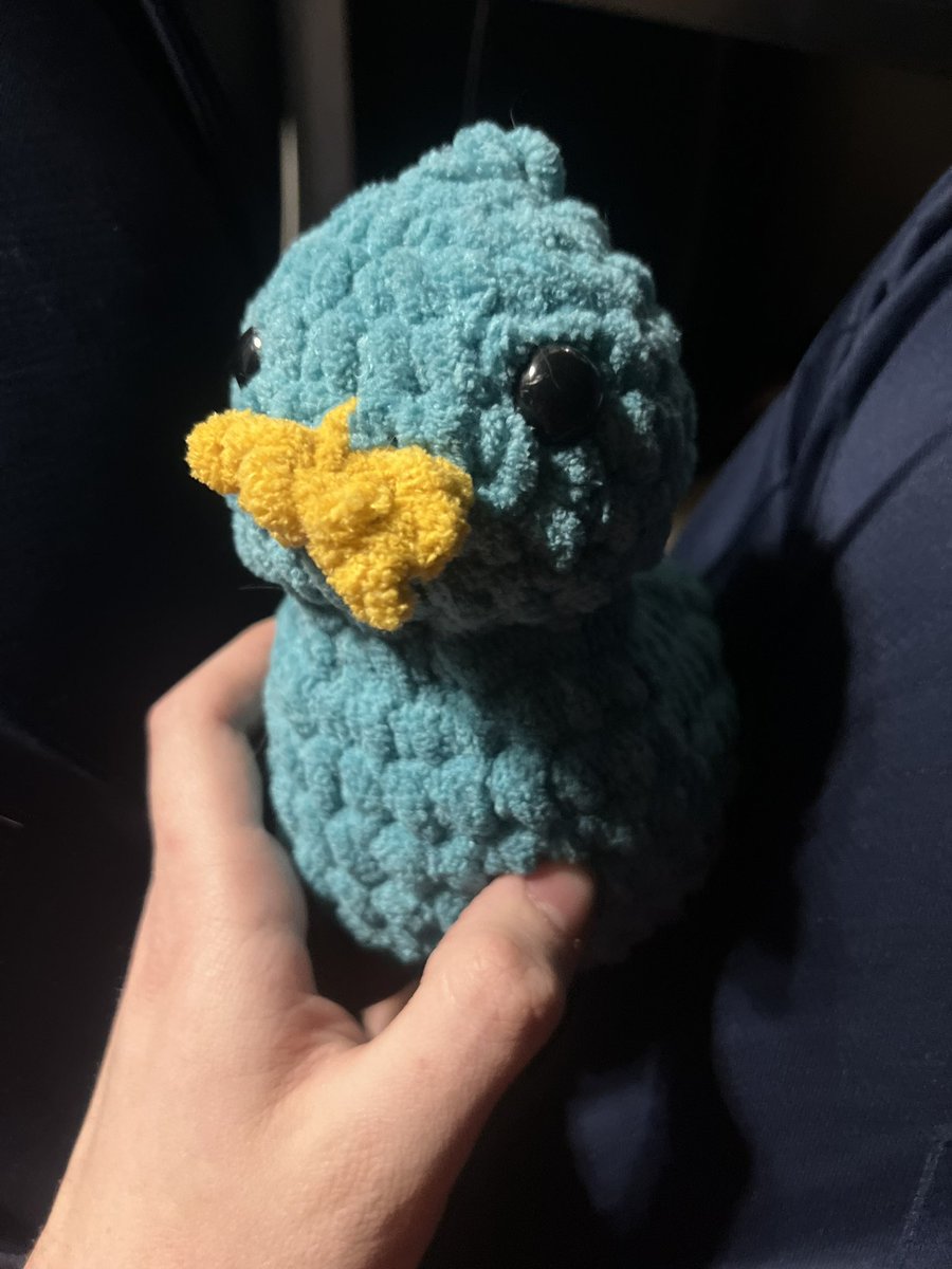 Long break, might repurpose from piplup account soon but look at the duck i crocheted