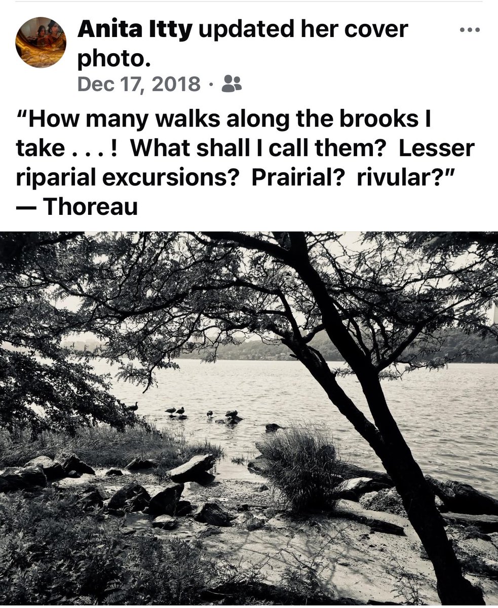 annathedeva's tweet photo. ‘On the brink thereof, at one end, is the famous rock, shaped like a moose deer or helk, diaphanous, and called the Moose Rock." He appears to have confounded Sebamook with Sebago, which is nearer, but has no "diaphanous" rock on its shore.’

— TJ3 via Thoreau, Maine Woods
❤️🏆 https://t.co/YxIgxBRzHg