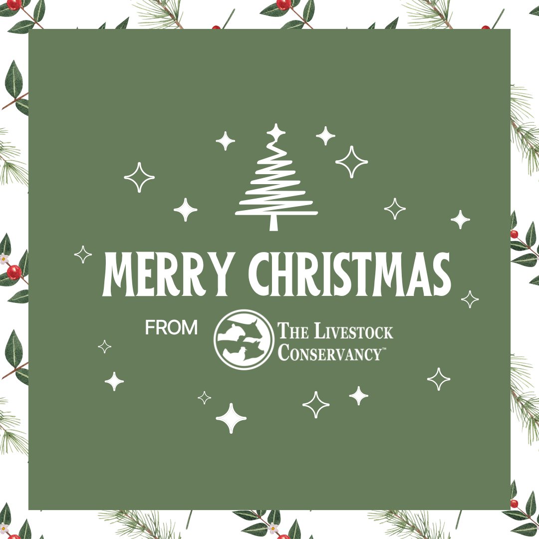This Christmas, we’re celebrating the incredible community that keeps our mission alive. Thank you for helping us preserve these living treasures. Wishing you peace, joy, and a meaningful Christmas from all of us at The Livestock Conservancy.
