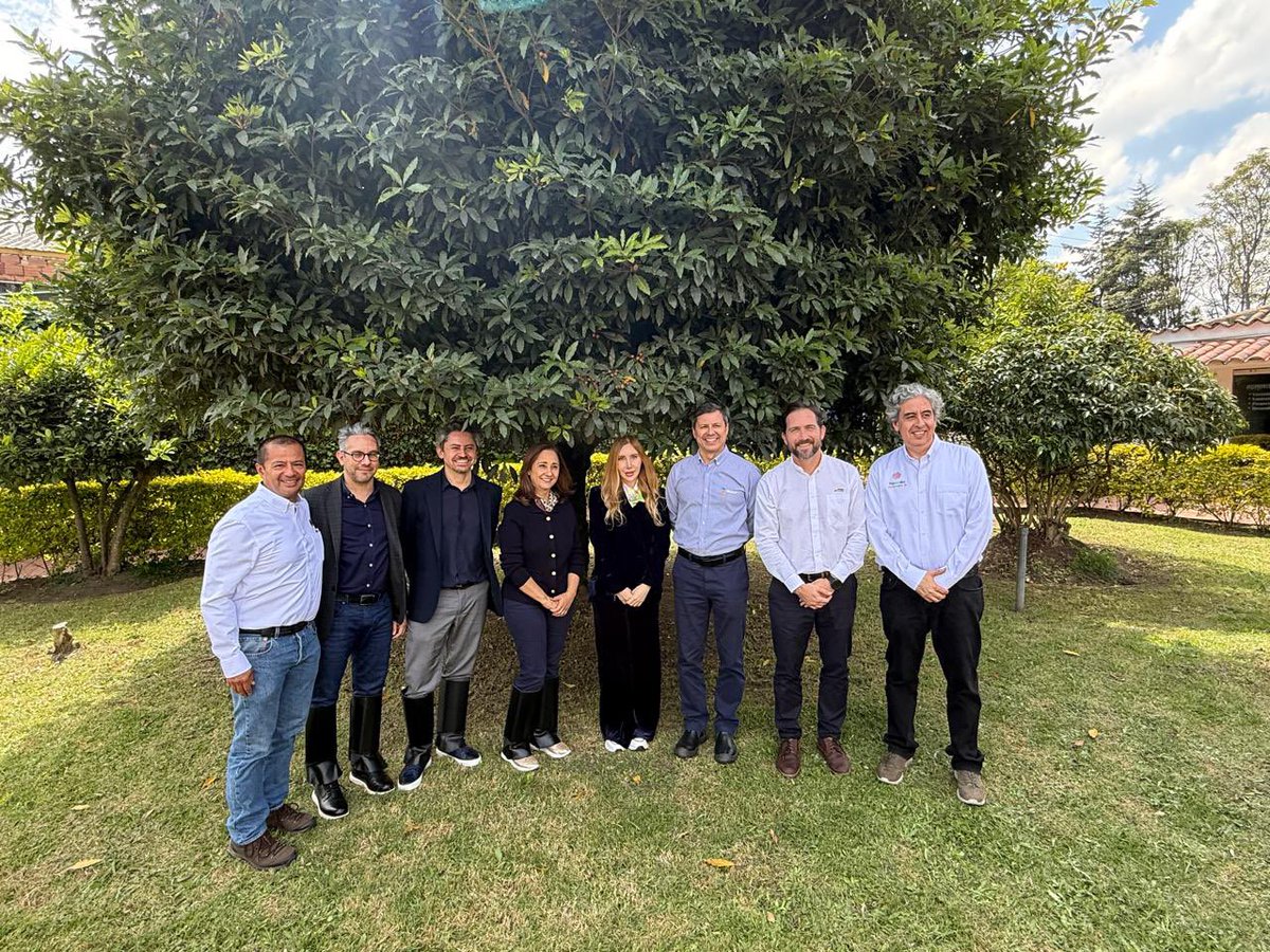 Sebastian Castro tweet media