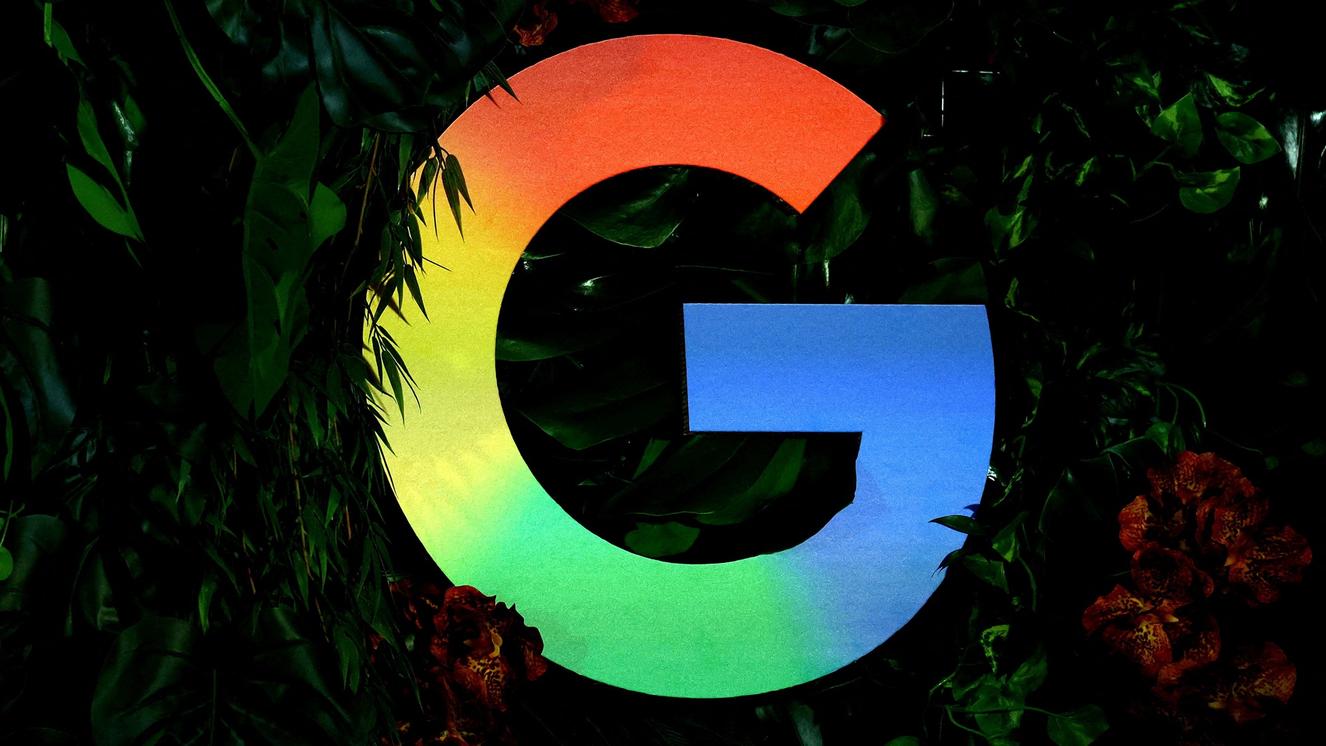 غوغل تطلق أول بطاقة ائتمان ذات علامة تجارية مشتركة في الهند #الشارقة24 