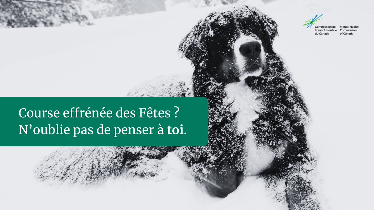 La Commission de la santé mentale du Canada tweet media