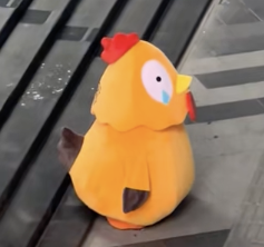 ชิกโก้ตอนได้ยินทุกคนเรียกว่าไก่ทอด...