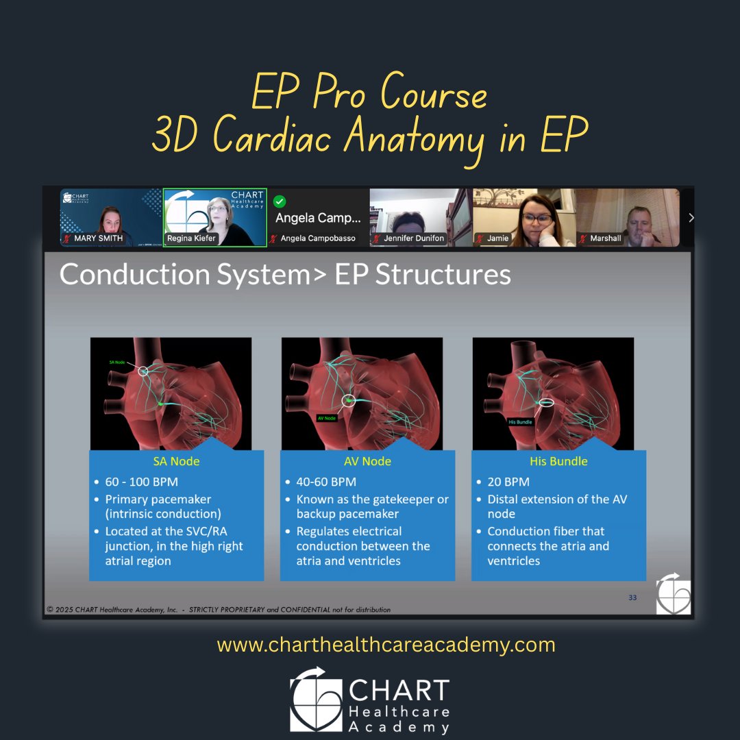 ChartAcademy's tweet photo. 🚀 EP Pro 2026!

3D Anatomy - EP 🫀
📅 Tuesday, Jan 13 | ⏰ 7:30–9:00 PM ET

🔹 Required: EP Pro: Foundations to Practice 12-month certificate pathway as we officially launch the program.

📢 Link in bio. 

#CHARTpeeps #EPeeps #CHARTEPPro #GROWMembership #FoundationsToPractice https://t.co/qvpbR7xZ7l