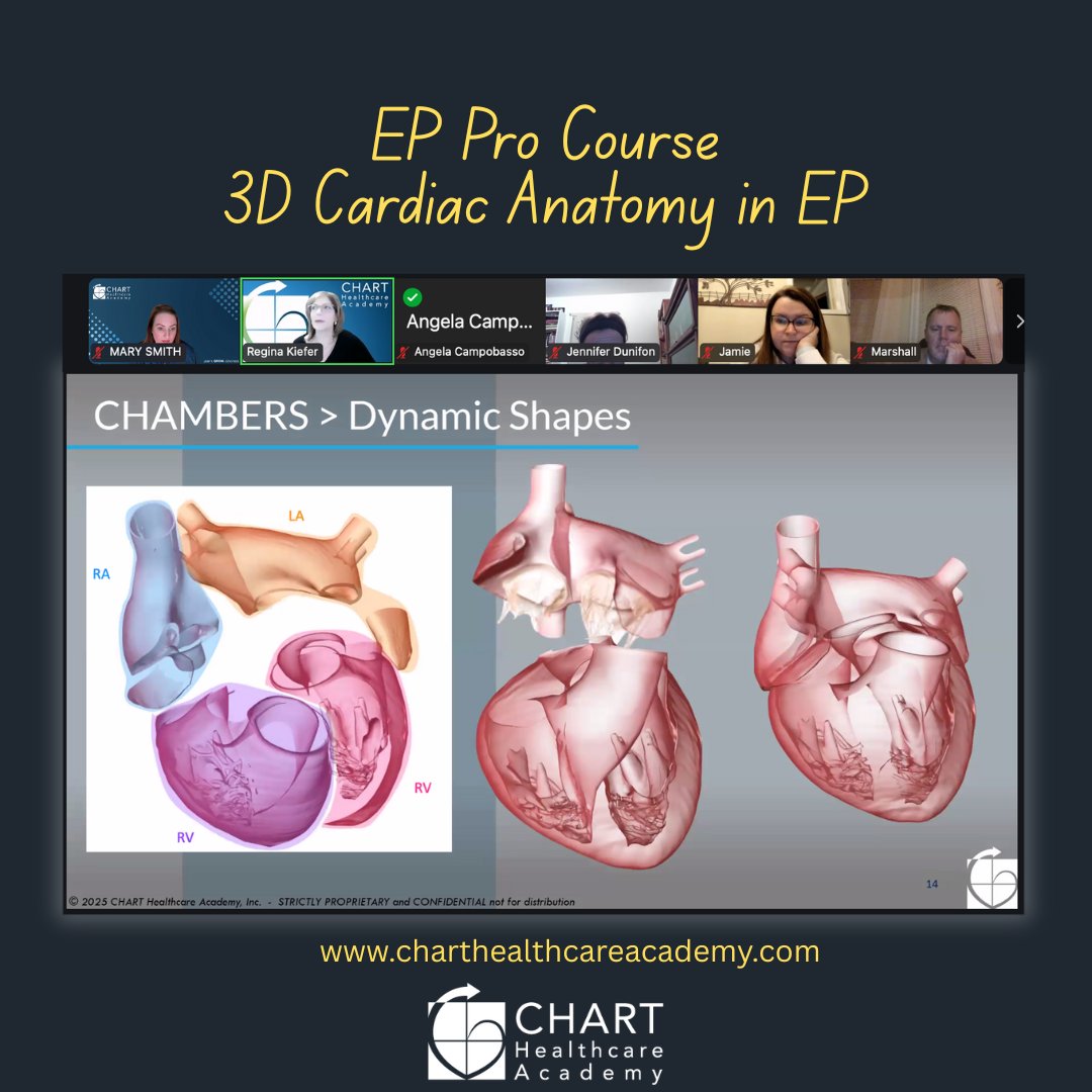ChartAcademy's tweet photo. 🚀 EP Pro 2026!

3D Anatomy - EP 🫀
📅 Tuesday, Jan 13 | ⏰ 7:30–9:00 PM ET

🔹 Required: EP Pro: Foundations to Practice 12-month certificate pathway as we officially launch the program.

📢 Link in bio. 

#CHARTpeeps #EPeeps #CHARTEPPro #GROWMembership #FoundationsToPractice https://t.co/qvpbR7xZ7l