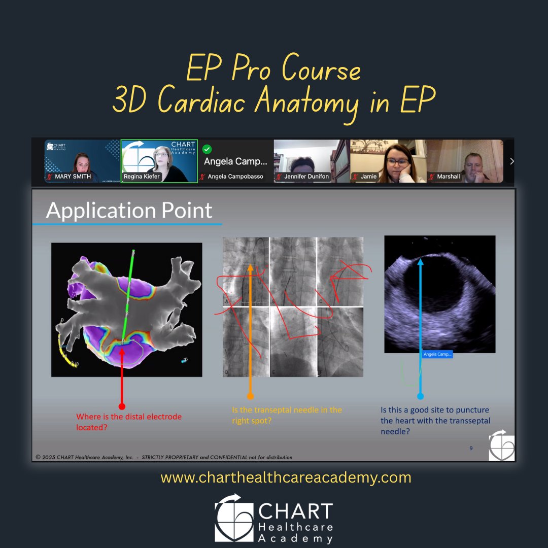 ChartAcademy's tweet photo. 🚀 EP Pro 2026!

3D Anatomy - EP 🫀
📅 Tuesday, Jan 13 | ⏰ 7:30–9:00 PM ET

🔹 Required: EP Pro: Foundations to Practice 12-month certificate pathway as we officially launch the program.

📢 Link in bio. 

#CHARTpeeps #EPeeps #CHARTEPPro #GROWMembership #FoundationsToPractice https://t.co/qvpbR7xZ7l