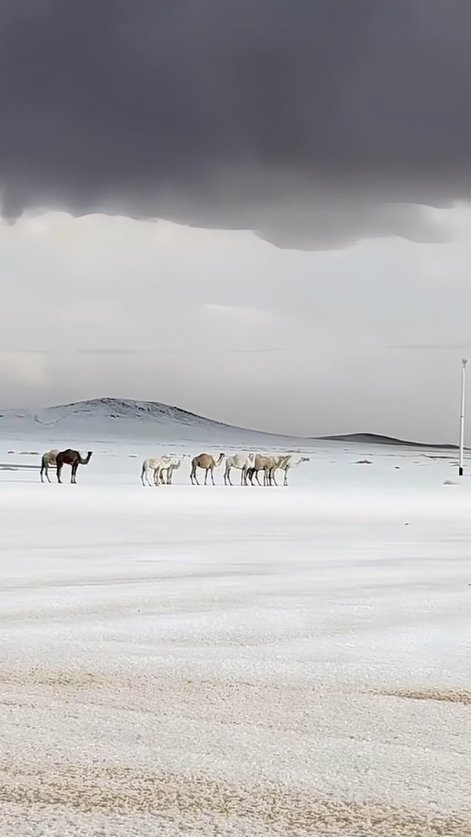 ما شالله تبارك الخالق ( ثلوج تبوك)